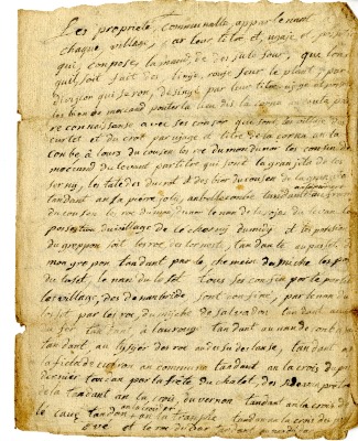 Compte rendu par le maire sur les propriétés communales - 20 décembre 1811