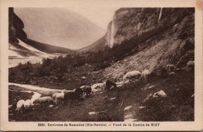 Pâturage des moutons au fond de la Combe