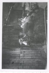 Photo des foins en famille