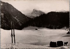 Carte postale de Samoëns "Le Mont Blanc et la pointe de Sale, vus de la Rosière"