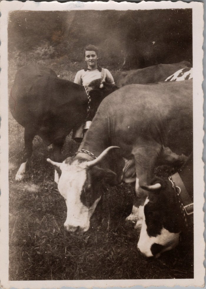 RICHARD Ludivine avec les vaches -1947