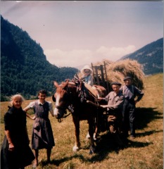 Foin dans le pré de Salvagny -1964