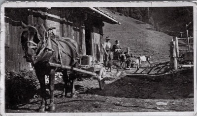 Photo devant la Cantine des Fonds avec la jument et les chèvres
