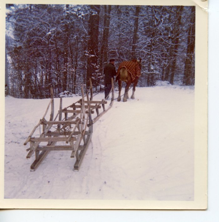 Joseph MOGENIER avec la jument 