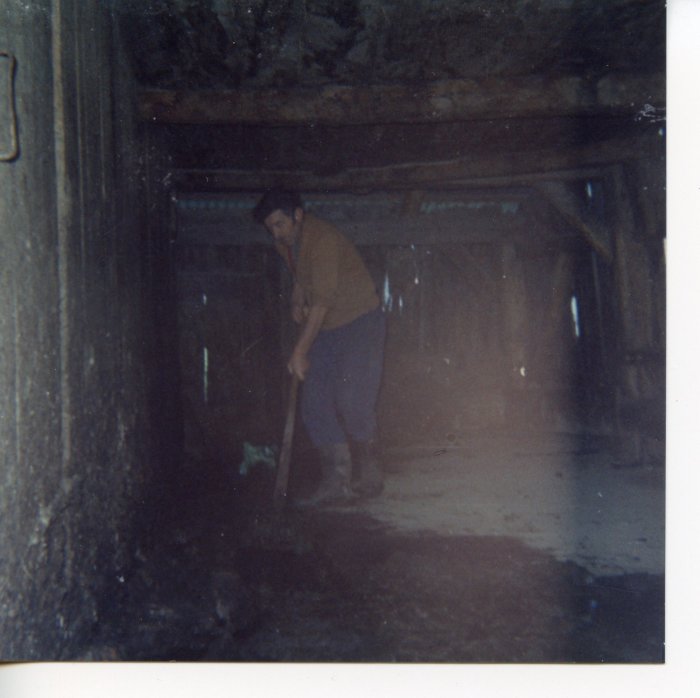 Travail et transformation de la tomme